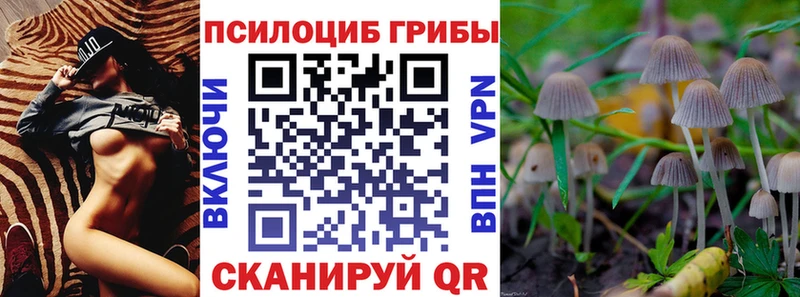 Псилоцибиновые грибы Cubensis  купить   Тулун 